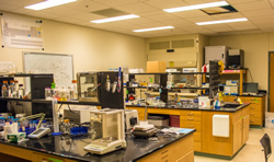 Photo of Lu research group laboratory