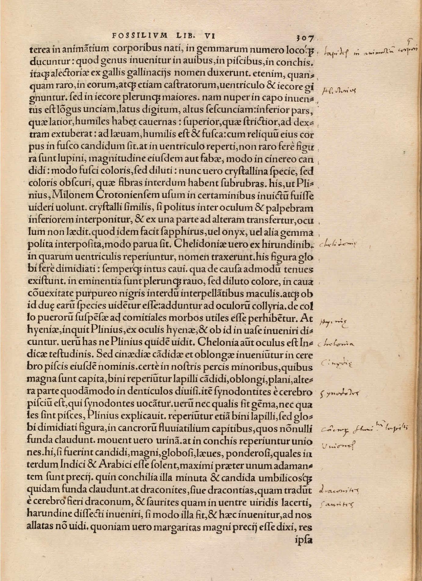 Image 5 from GEORG AGRICOLA (1494 - 1555). De Ortu et Causis Subterraneorum [and other works]. Basel: Hieronymus Frobenius and Nikolaus Episcopius, 1546.